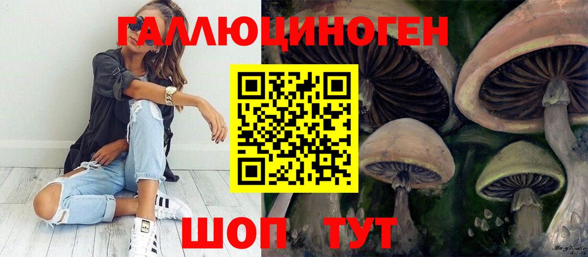 Псилоцибиновые грибы прущие грибы Ейск