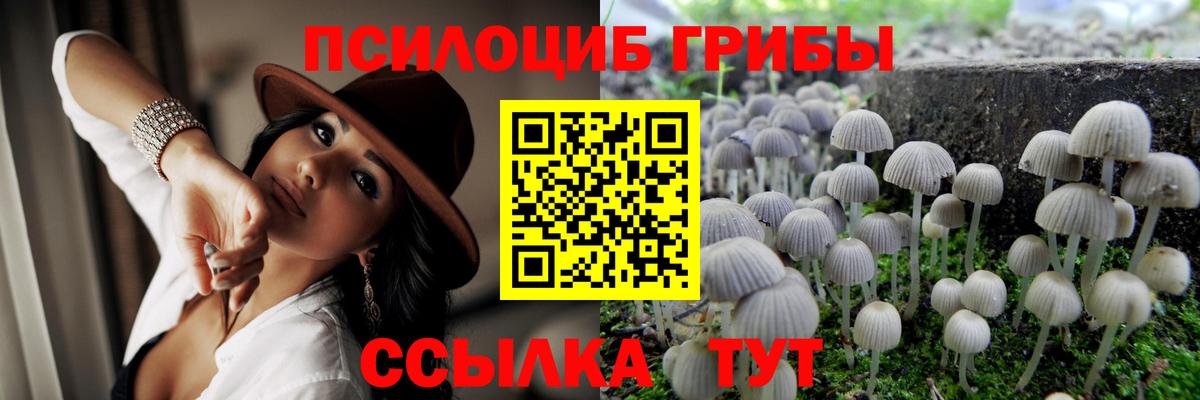 Ейск  Псилоцибиновые грибы мицелий  наркота  Вход с VPN 