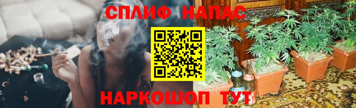 Марихуана THC 21%  Каннабис гибрид  Канабис THC 21%  Канабис индика  Вход с VPN  Ейск 